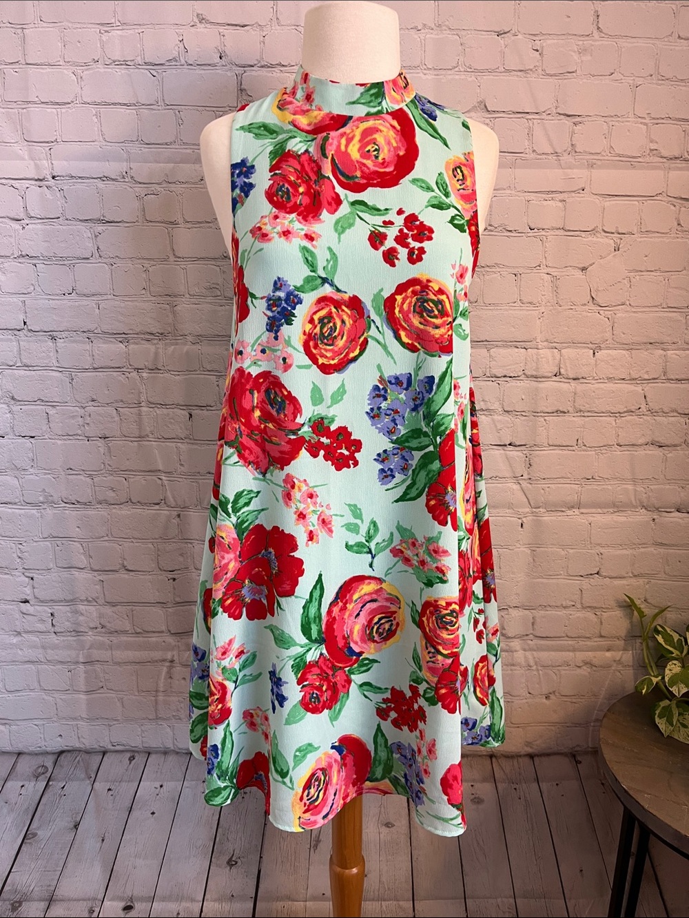 Everly Floral Sleeveless A-Line Dress in Mint with Red Roses